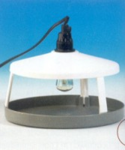 Flohlichtfalle