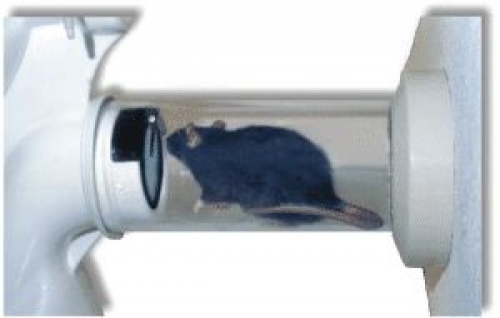 Rattenklappe Ratstop